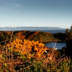 Chillwave / indie / Shoegaze / Old Sounds