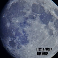 LITTLE WOLF - ANSWERS