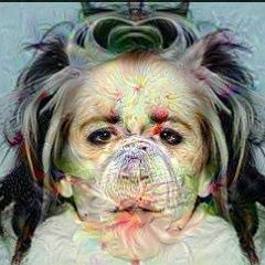 Hide & Seek & Destroy