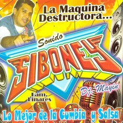 Las Amo A Las 2 - Sonido Siboney - Cumbia Ecuatoriana - [Limpia & Completa]