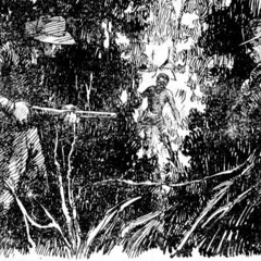 Waltz of the Hornet Bank Massacre