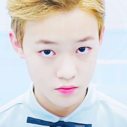 Stream Tell Me Why - Zhong Chenle by blueredbom🍉 | Listen online for free  on SoundCloud