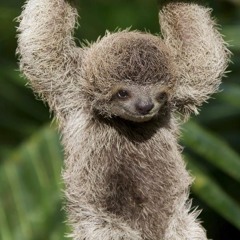 ryan's rotation ~ monday mix #142 ~ 9-26-16