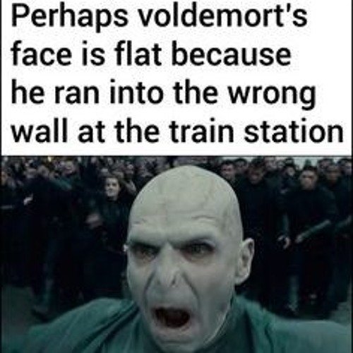 112 Harry Potter Memes That Will ~Always~ Make You Laugh in 2023