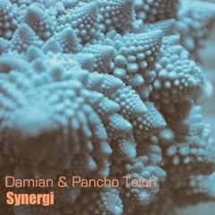 Pez Mestizo & Damian - Synergi