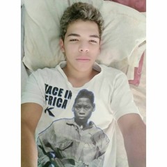 MONTAGEM - PROIBIDÕES DA NOVA HOLANDA (SÓ AS BRABAS).