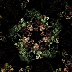 Fleshroux - I Got It