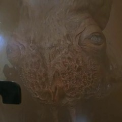 Folding Space On LSD.MP3