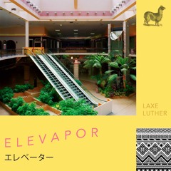 elevapor (video clip in description)