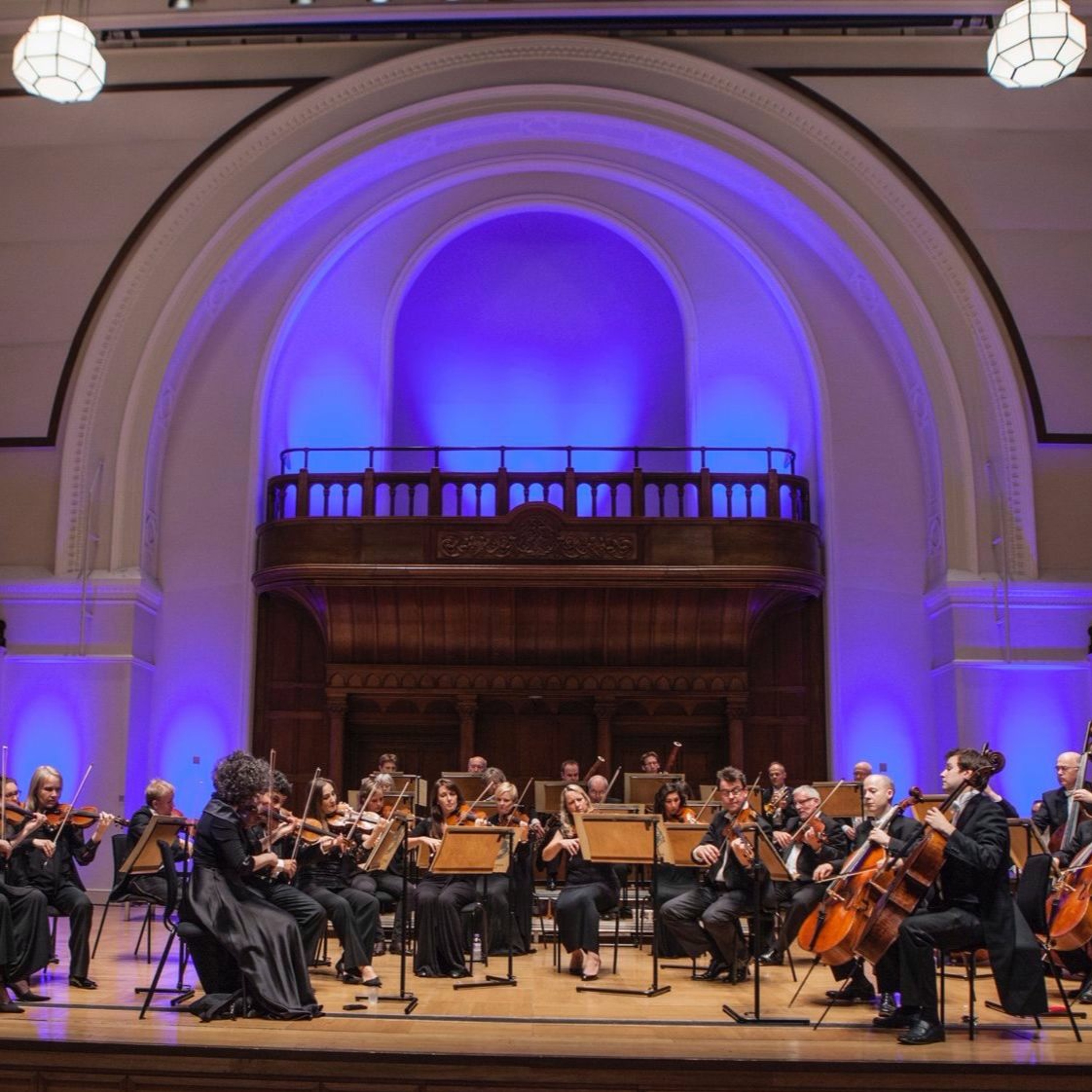 English Chamber Orchestra & Lawrence Power - A Kings Place Podcast episode artwork