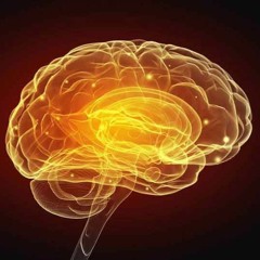 Restoring Brain Health - Radio Show Archive