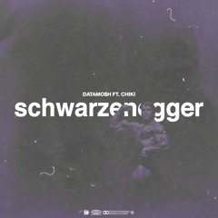 schwarzenegger ft. Chiki