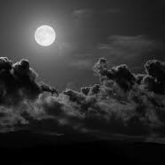 Chasing Dreams in the Dark