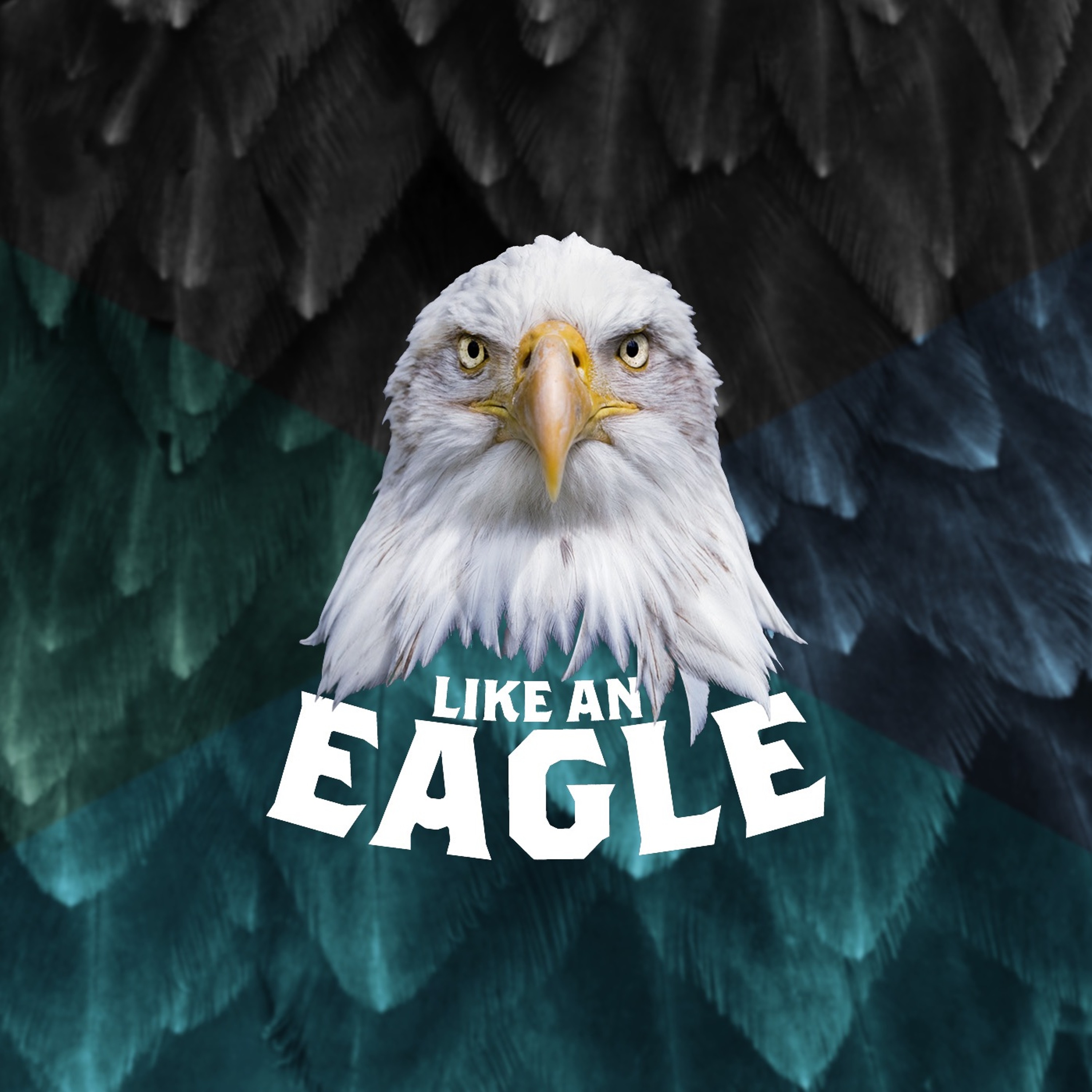 Audio Podcast #39 // Like An Eagle - Erhebe Deine Zeit // 25.09.2016 episode artwork