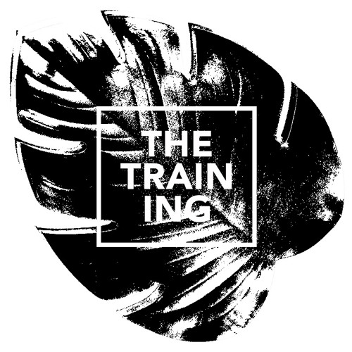 The Training · 160926