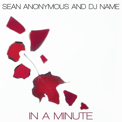 Sean Anonymous & DJ Name - In a Minute