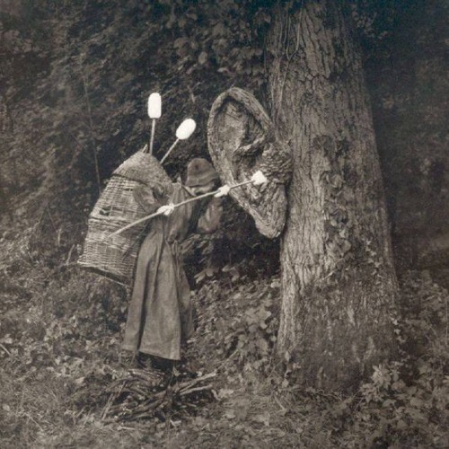 Haryashvas - Only A Dream