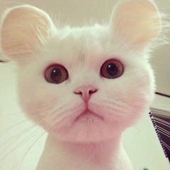 molly-Я Просто Люблю Тебя