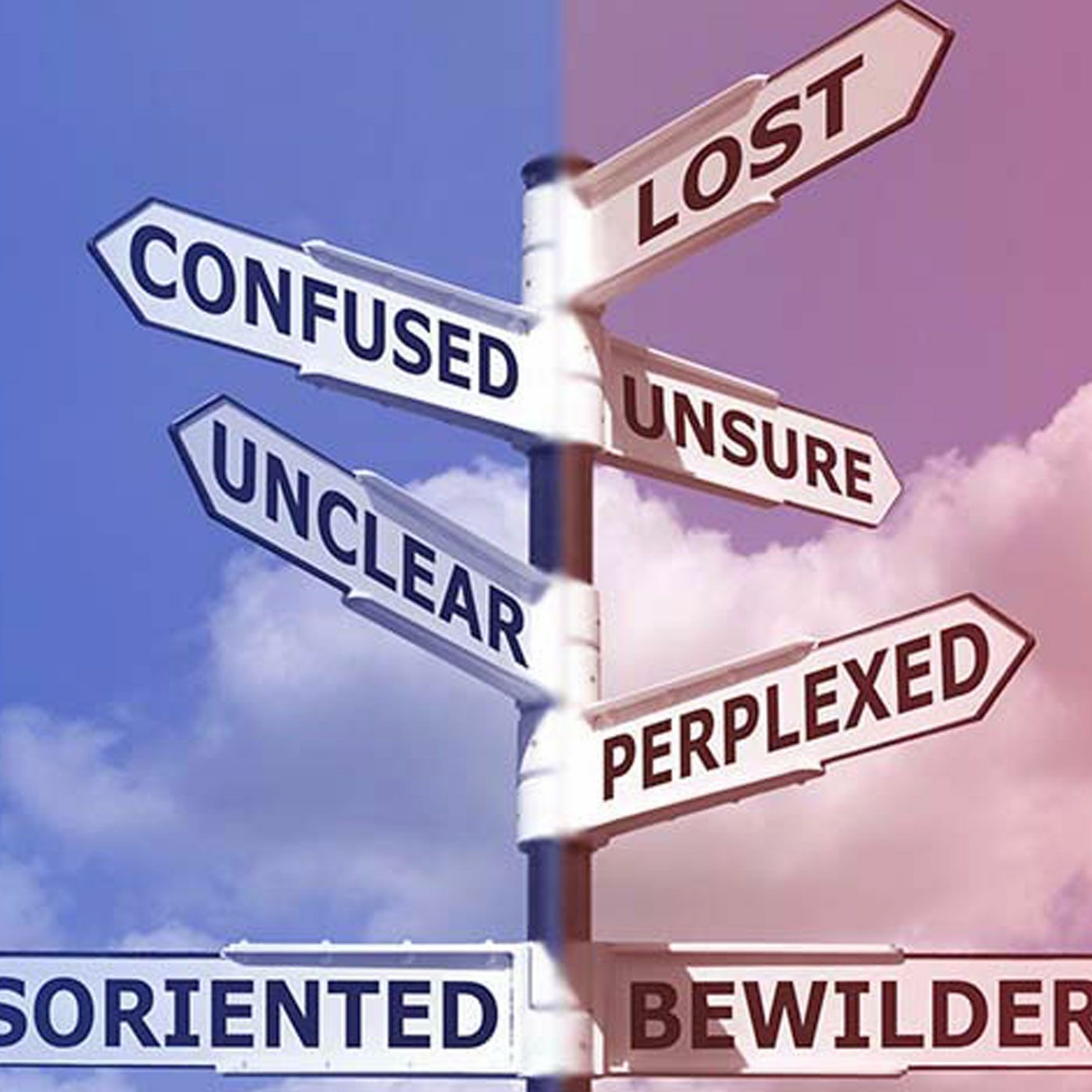 Leaders to Confusion - Roger Meyer episode artwork