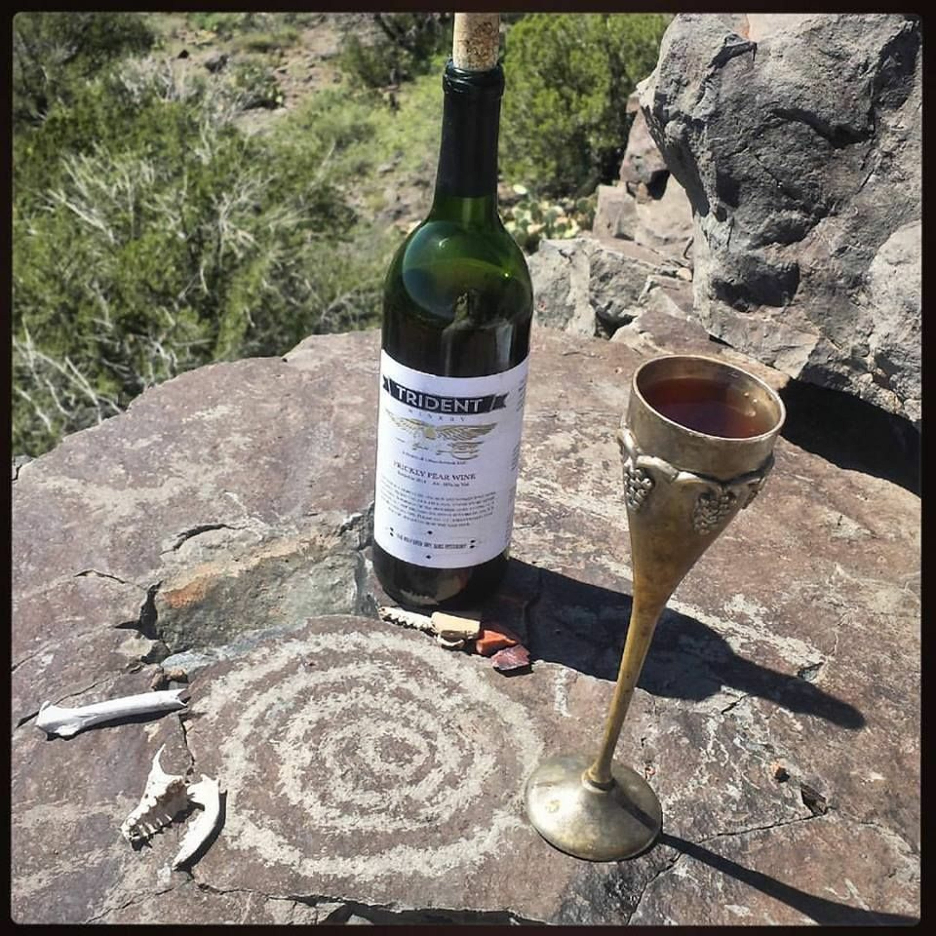 The Arizona Wine Monk Podcast