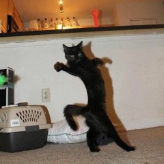 Remember Razzle Dazzle ♣