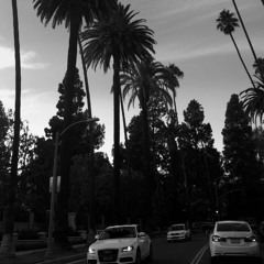 Sauce X Franco Dinero