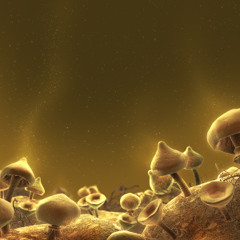 Quantum Combinations