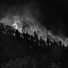 WILDFIRE