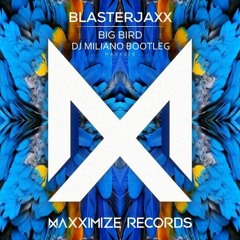 Blasterjaxx - Big Bird (DJ Miliano Bootleg)[FREE DOWNLOAD]