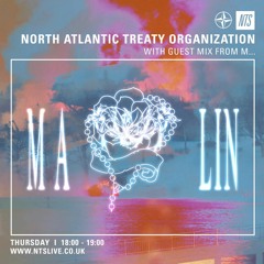 NTS - NORTH ATLANTIC TREATY ORGANIZATION GUEST MIX
