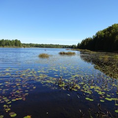 On Buck Lake