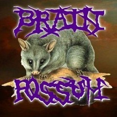 BRAIN POSSOM #ABLETON TRACK #FRENCHCORE#