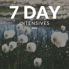 What Is the Access Consciousness 7 Day Event?