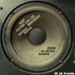 Gained The Rhythm Reloaded (Snap/ Electric Lady Lab/ Morcheeba/ Sebastian Ingrosso)