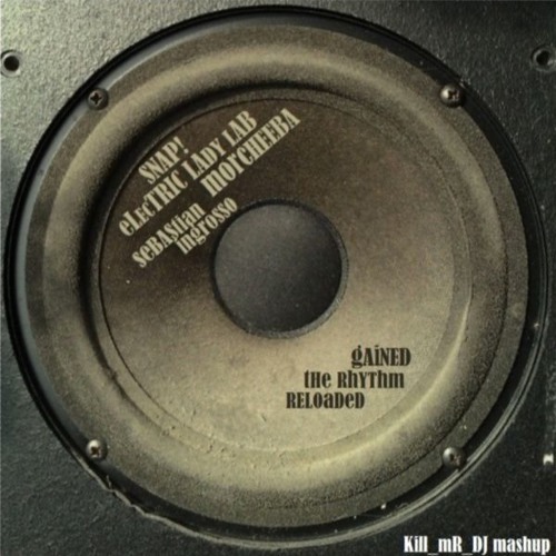 Gained The Rhythm Reloaded (Snap/ Electric Lady Lab/ Morcheeba/ Sebastian Ingrosso)