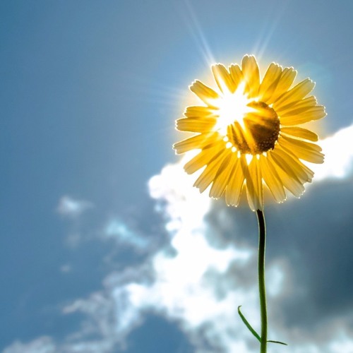 Recognize And Embrace