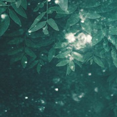 Future Roots - [Latin America]