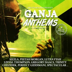 07 - Lutan Fyah - Smug Alert