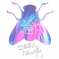 Crazy Hausfly - Dan Bog 260816 Full Mix
