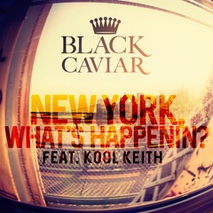 New York, What's Happenin'? (feat. Kool Keith)