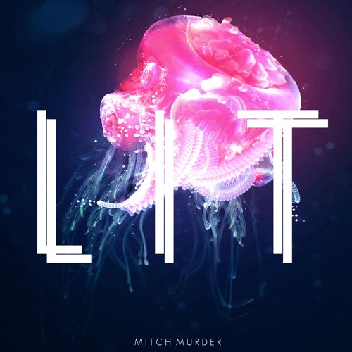 Mitch Murder - Lit (FREE DOWNLOAD)