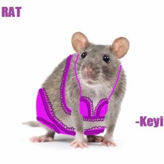 Rat(Preach Freestyle)- Keyi