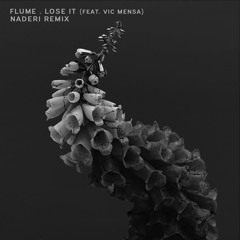 Flume - Lose It (feat. Vic Mensa) [Naderi Remix]