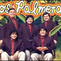 QUISIERA VOLVER LOS PALMERA RMX BY TANODJMIXZ 100 BPM.MP3
