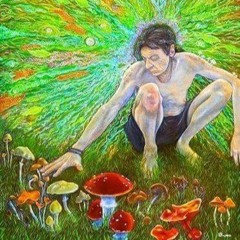 Major7 Not so Funny - Magic Mushrooms  - (Psychological Affected Remix)