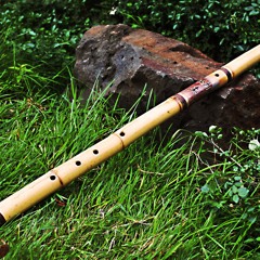 - Eastern Sweet Tit - Moose & 'Possum -