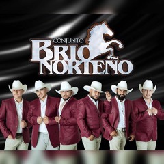 Ya Te Perdi La Fe - Conjunto Brio Norteno