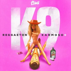 Dj Luigi - Reggaeton Karmoso 9