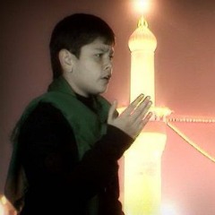 يا زينب جينا نعزيكي - الرادود محمد حسين خليل