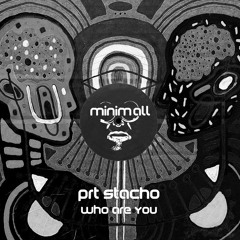 PRT Stacho - Who Are You (Ordinary Subject It's Us Mix) [MINIMALL178]